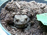 01-09-2007_15-15-24_06