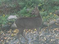 2008-10-27_09-19-39_0044