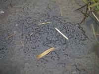 2012-03-24_09-40-45_0055