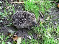 26-09-2007_12-14-54_07