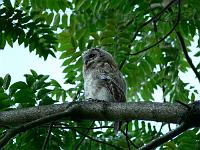 09-06-2007_20-27-49_76