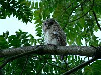 09-06-2007_20-28-00_79