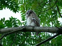 09-06-2007_20-28-07_81