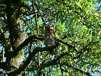 2008-05-15_07-16-55_0001