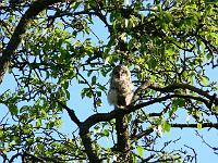 2008-05-15_07-16-55_0053