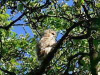 2008-05-15_07-16-55_0056