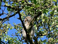 2008-05-15_07-16-55_0065