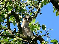 2008-05-15_07-16-55_0076