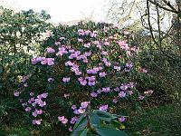 01-04-2007_09-03-57_13