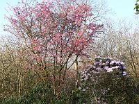 01-04-2007_09-05-48_43