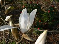 01-04-2007_17-07-43_18