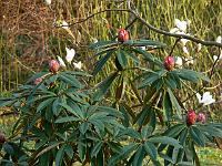 01-04-2007_18-25-02_05