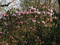 01-04-2007_18-25-19_10