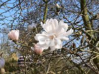 02-04-2007_16-56-09_33