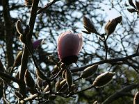 02-04-2007_16-59-09_77