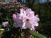 03-04-2007_11-44-17_13