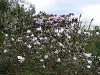 07-04-2007_18-22-26_34