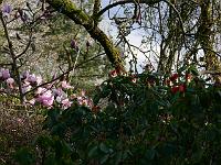 07-04-2007_18-24-30_68