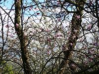 07-04-2007_18-26-25_98