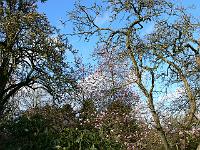 07-04-2007_18-27-44_119