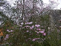 08-04-2007_09-32-37_51