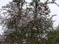 08-04-2007_09-33-10_60