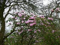 08-04-2007_09-33-56_72