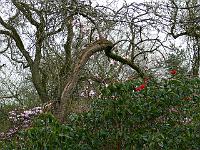 08-04-2007_19-16-18_104