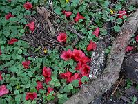 09-04-2007_10-14-24_35