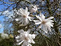 10-04-2007_16-18-32_07