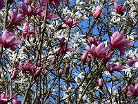 11-04-2007_15-42-59_48