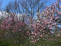 11-04-2007_15-43-34_58