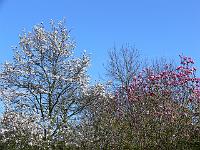 11-04-2007_15-45-41_90