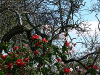 11-04-2007_15-51-26_179