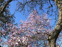 12-04-2007_20-25-19_41