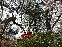 13-04-2007_08-55-21_33