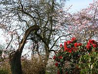 13-04-2007_08-57-58_75