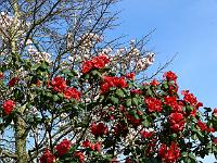 13-04-2007_10-02-09_54