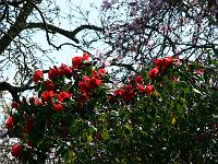 13-04-2007_15-37-22_49