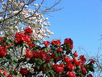 14-04-2007_09-37-02_05