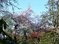 14-04-2007_09-38-07_22