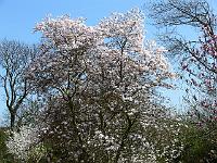 14-04-2007_14-07-52_72