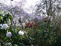 14-04-2007_18-07-04_61