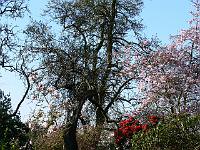 16-04-2007_08-47-50_53