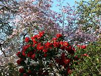 16-04-2007_08-48-13_59