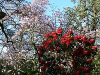 16-04-2007_08-48-52_69