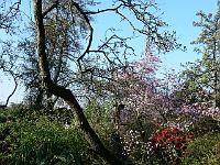 16-04-2007_08-51-33_112