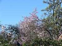 16-04-2007_10-01-47_66