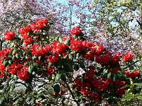 17-04-2007_09-14-25_55