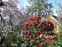 17-04-2007_10-12-15_08